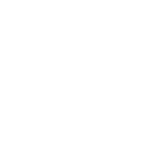 Blue Mosque Tour