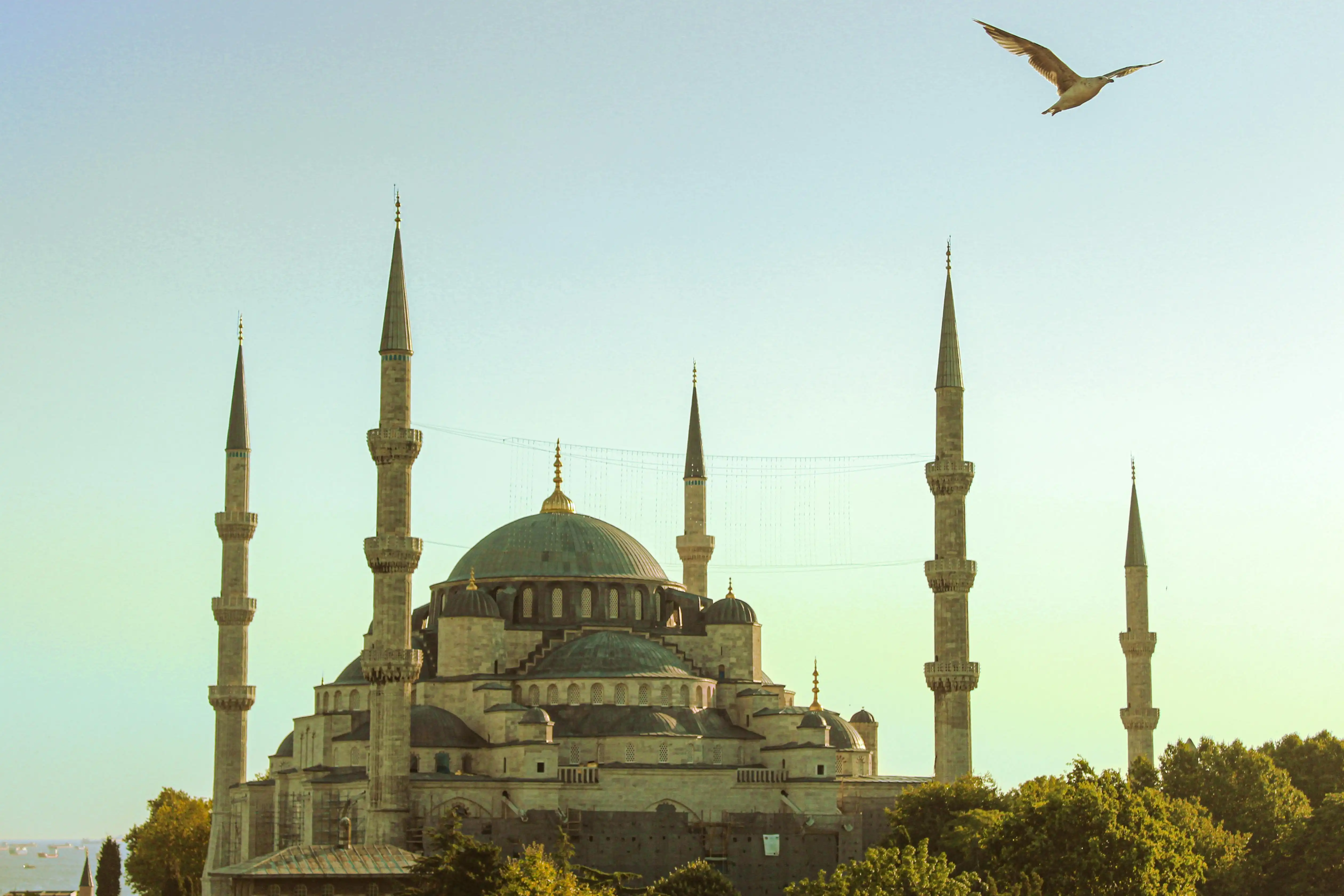 Blue Mosque Private Tours - Gallery Image 1