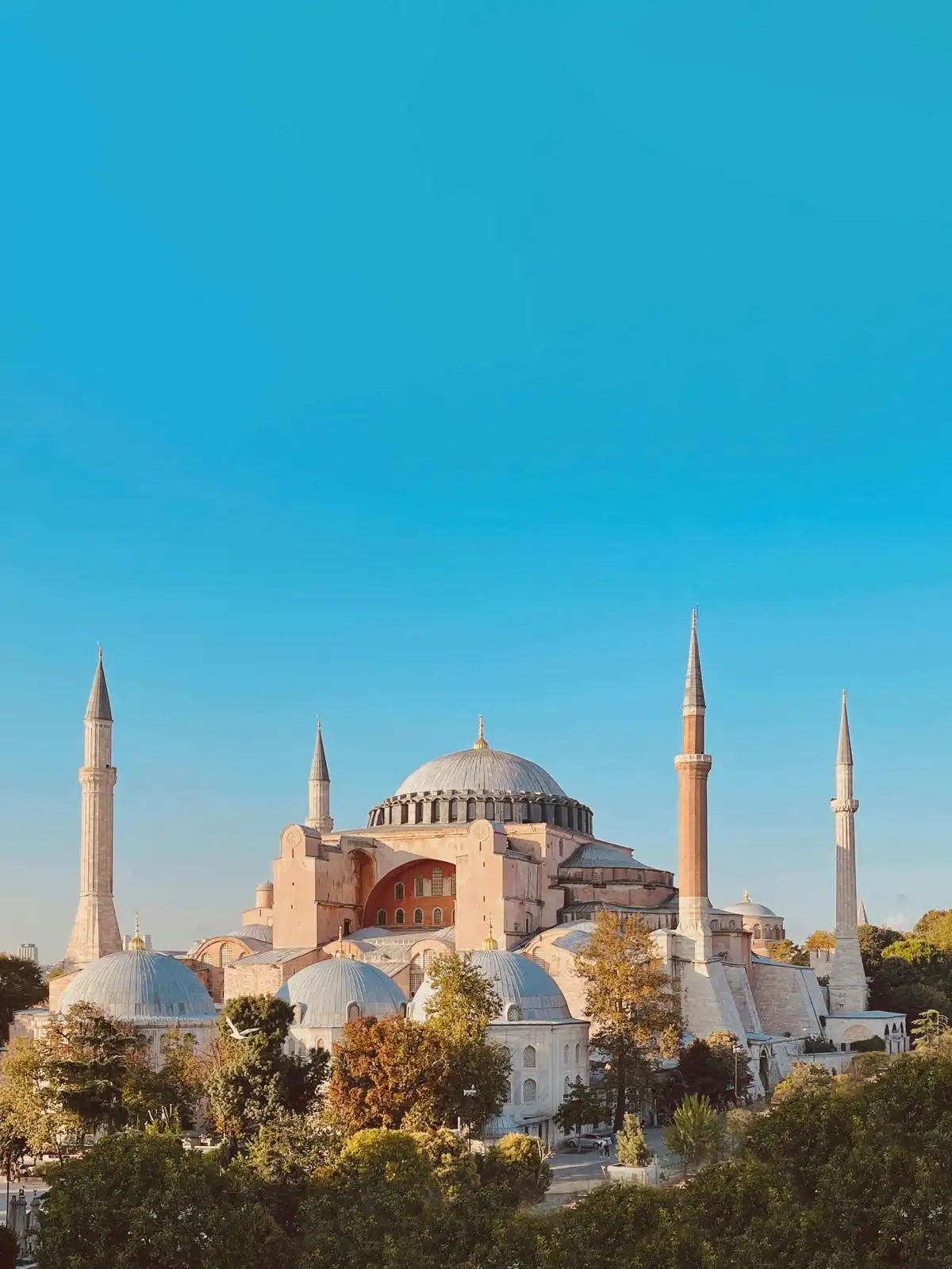 Istanbul Old City Private Tour - Local Guide & fast Track Entry - Gallery Image 2